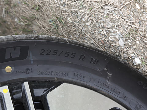 2026�� ����Pro