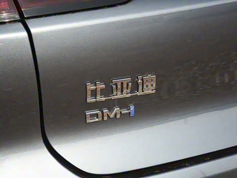 2025�� DM-i �Ǽݰ� 245KM������