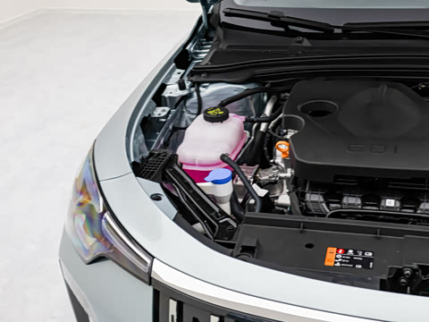 2026�� 1.5L �����