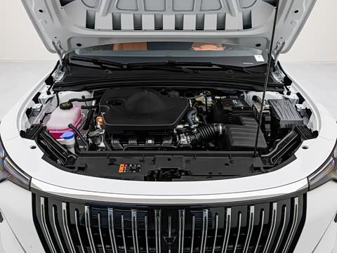 2026�� 1.5L �����