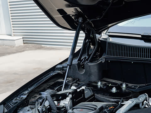 2025�� �Ŀ�  2.0T PHEV ����200��������� 7��