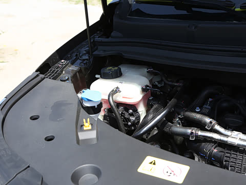 2026�� ����Max