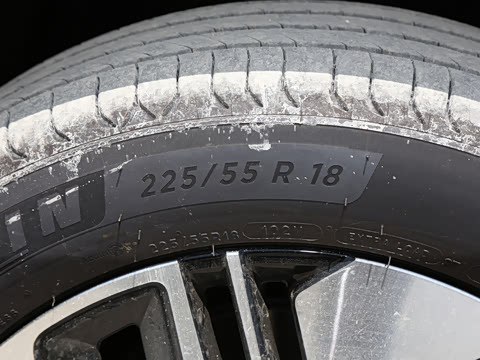 2026�� ����Max