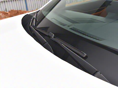 2025�� ������