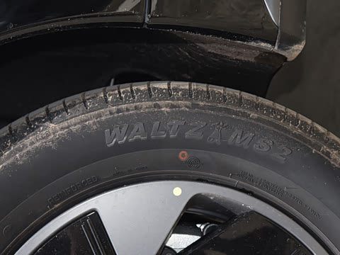 2025�� 602 ������ Max