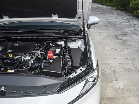 2026�� 2.0S �˶���