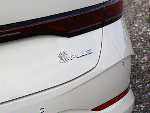 2025�� DM-i �Ǽݰ� 128KM��ȡ��