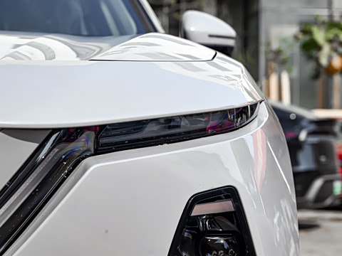 2026�� ����200 Pro