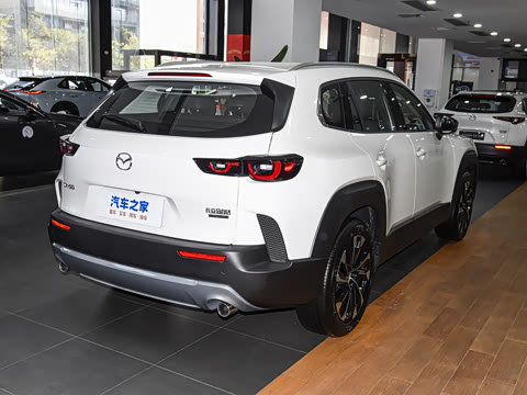 2026�� 2.5L ���а�