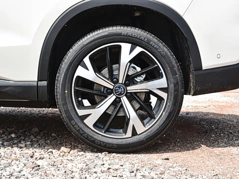 2026�� DM-i 220KM��Խ��