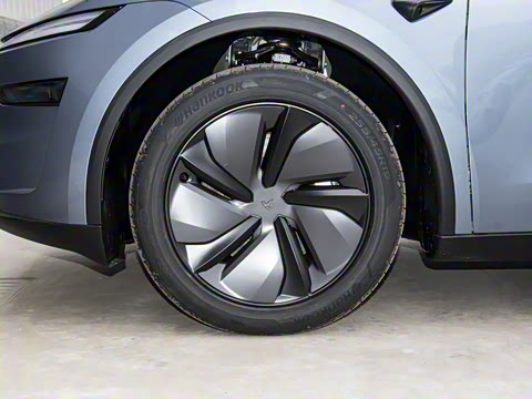 2026�� ����������������