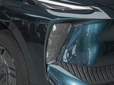 2025�� 530�캽��