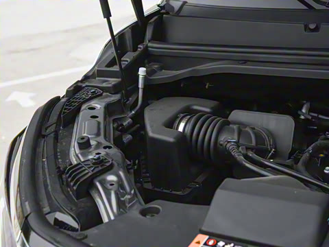 2026�� ���̰� 230�콢�� 7��