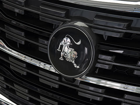 2025�� 2.0L �ֶ���Ӣ��CNG 7��