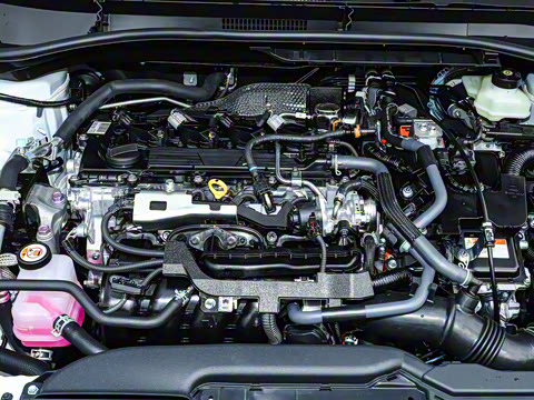 2026�� 2.0L ���ܵ��˫�� �ȷ��