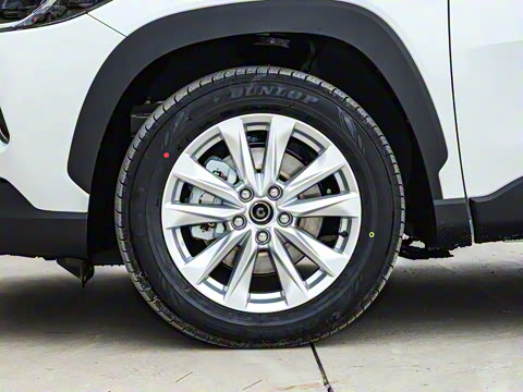 2026�� 2.0L ���ܵ��˫�� �ȷ��