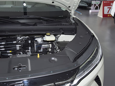 2025�� 301KM �캽��