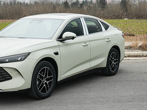 2026�� DM-i 210KM��Խ��