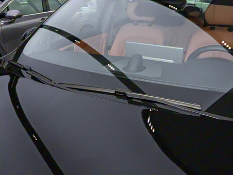 2025�� ���� Max