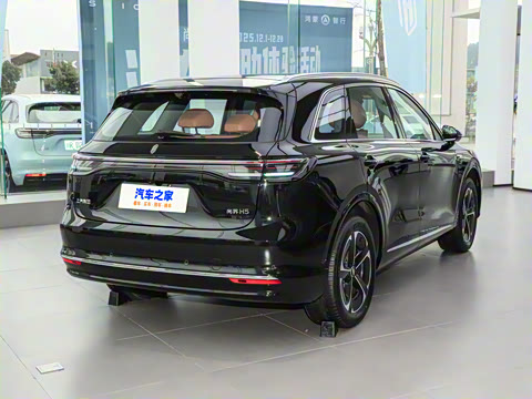 2025�� ���� Max