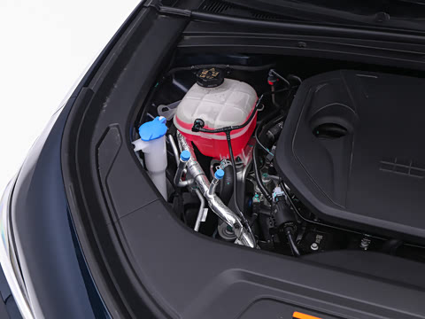 2026�� 220km ������ҫ��
