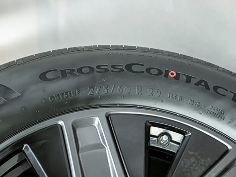 2026�� Max+