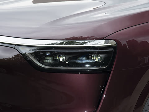 2025�� ���� Max+ ���������� 