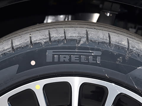 2026�� ���� Max�������� 5��