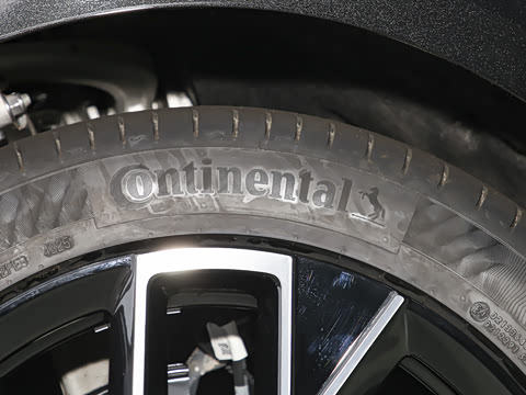 2025�� Elite�����