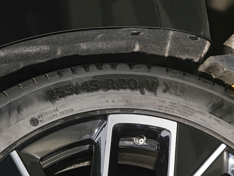 2025�� Elite�����