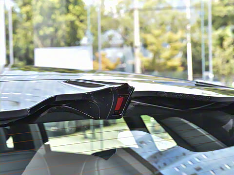 2024�� ������������