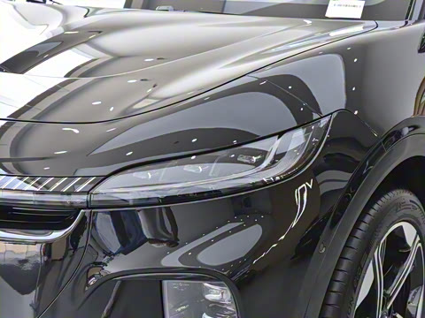 2024�� ������������