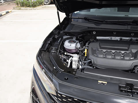 2026�� ���ڿ� 380TSI �ǿ���ҫ��