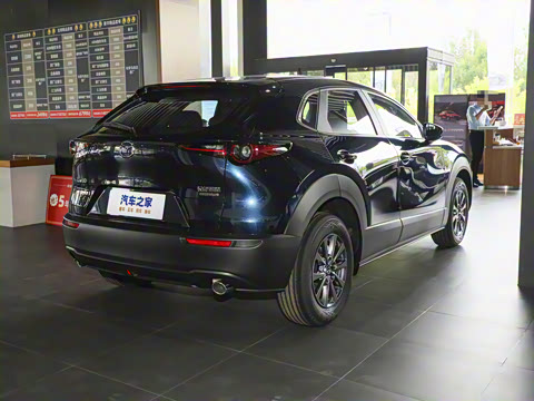 2025�� 2.0L �ֶ�������