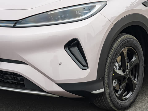 2026�� DM-i 220������