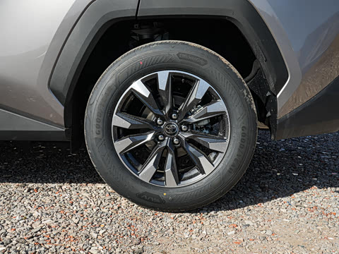 2026�� 2.0L ����������