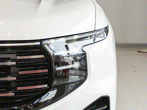 2026�� ���L 2.0T EcoBoost ��������������