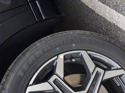 2026�� 121km ���ʰ� 5��