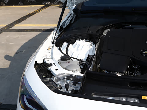 2026�� CLE 260 ������ܳ�