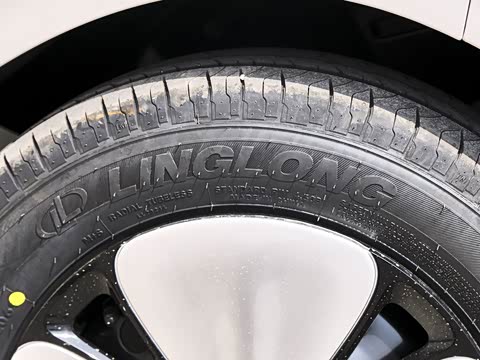 2026�� ����� 301km ���׿�