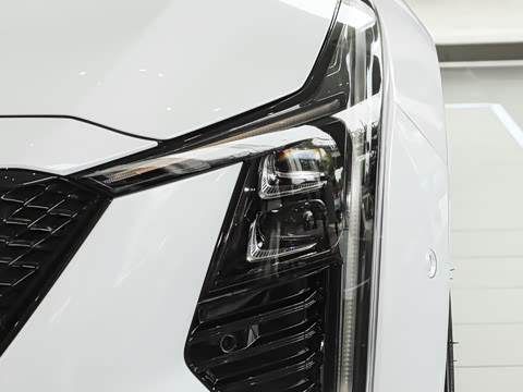 2025�� 28T �������ܰ�