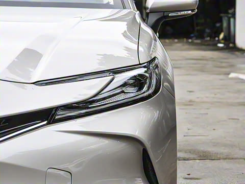 2026�� ˫�� 2.0HGVP ������