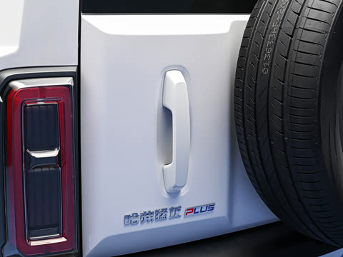 2026�� 255km ������