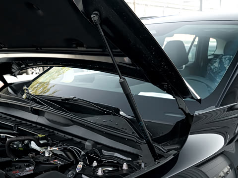 2026�� 2.5L ���а�