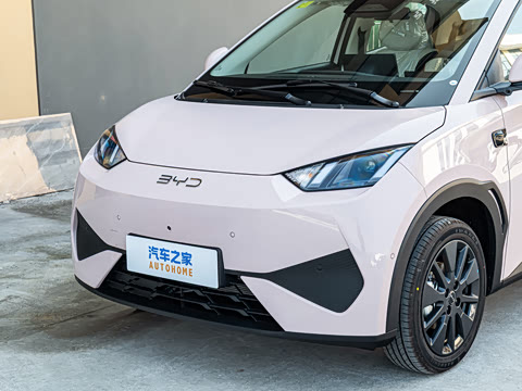 2026�� 305km ���ɰ�
