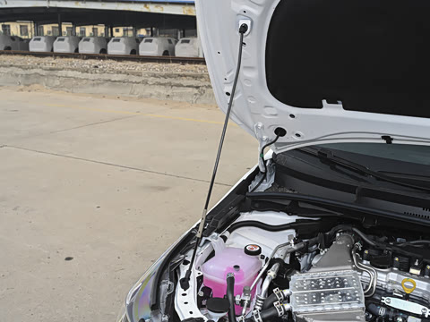 2026�� 1.2T ��Ӣ��