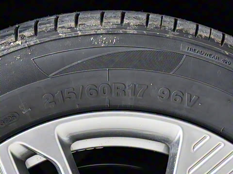 2025�� 565km ������