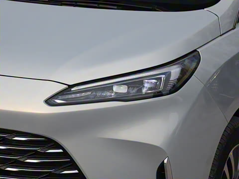 2025�� ½�Ϲ���� ����DG��