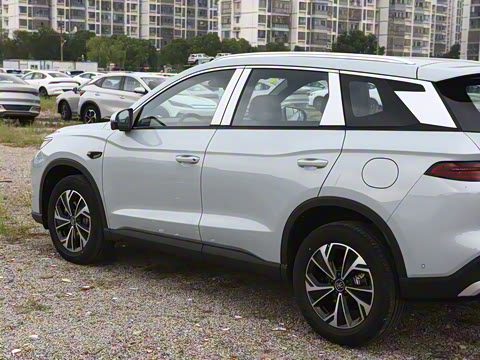 2026�� DM-i 133KM��Խ��