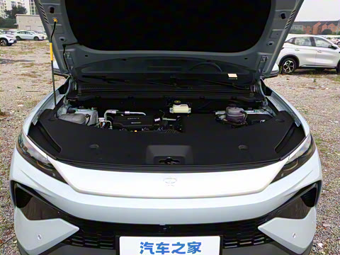 2026�� DM-i 133KM��Խ��